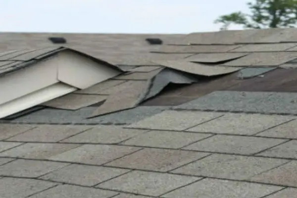 roof repair belleview