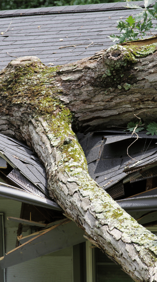 Common Shingle Roofing Problems 