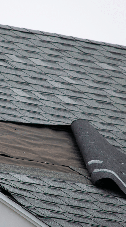 Common Shingle Roofing Problems 