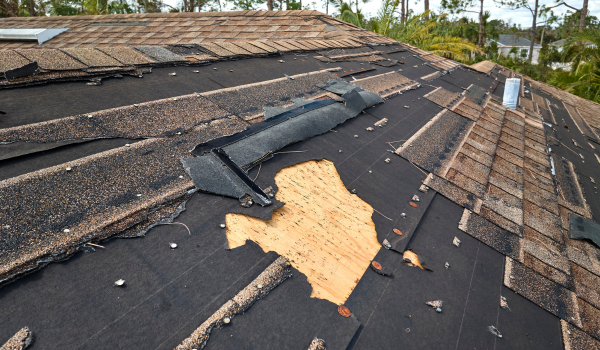 Roof Repairs Leesburg