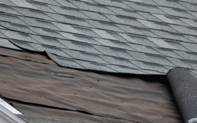 5 Signs Your Roof Needs to Be Replaced in Ocala