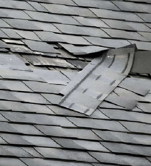 Shingle Roof Repair Bushnell 