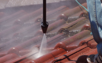 How Often Should You Clean Your Roof in Ocala?